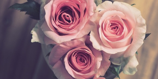 Ramos de flores rosas: ¡Los mejores ramos de rosas a domicilio!