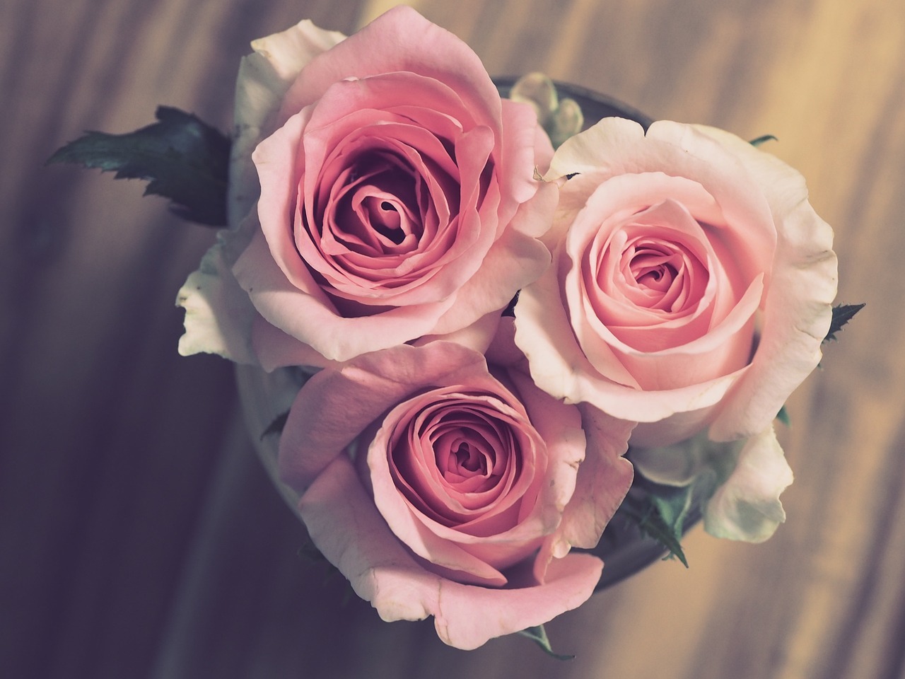 Ramos de flores rosas: ¡Los mejores ramos de rosas a domicilio!